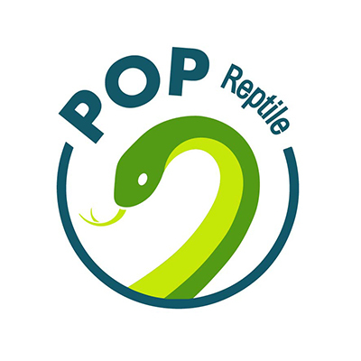 Pop reptile